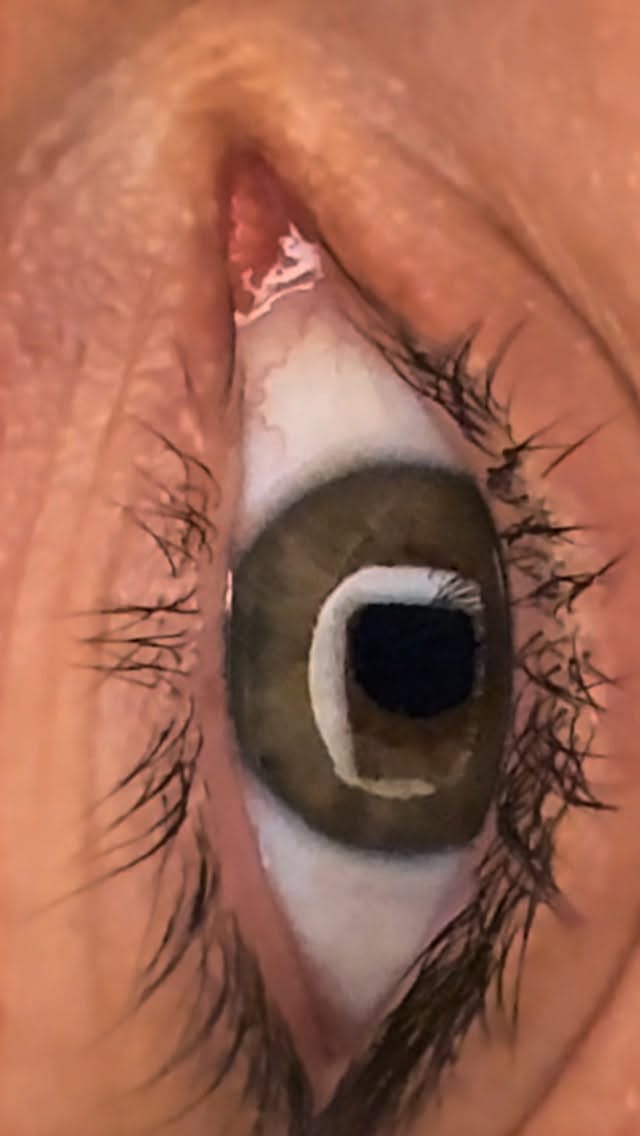 Post 6 by Can Karakoç on Instagram (video)
