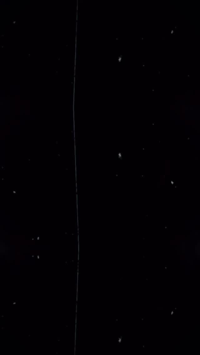 Post 4 by Littlecup Jeans-Toptan Satış on Instagram (video)