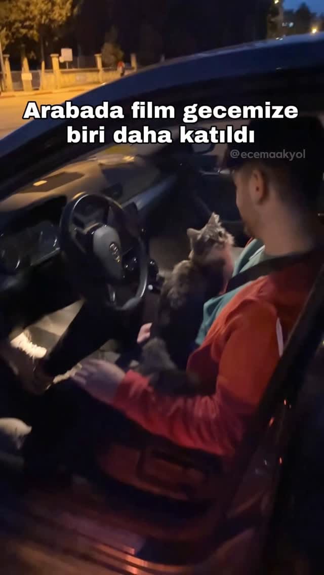 Post 6 by ECEM AKYOL✨ on Instagram (video)