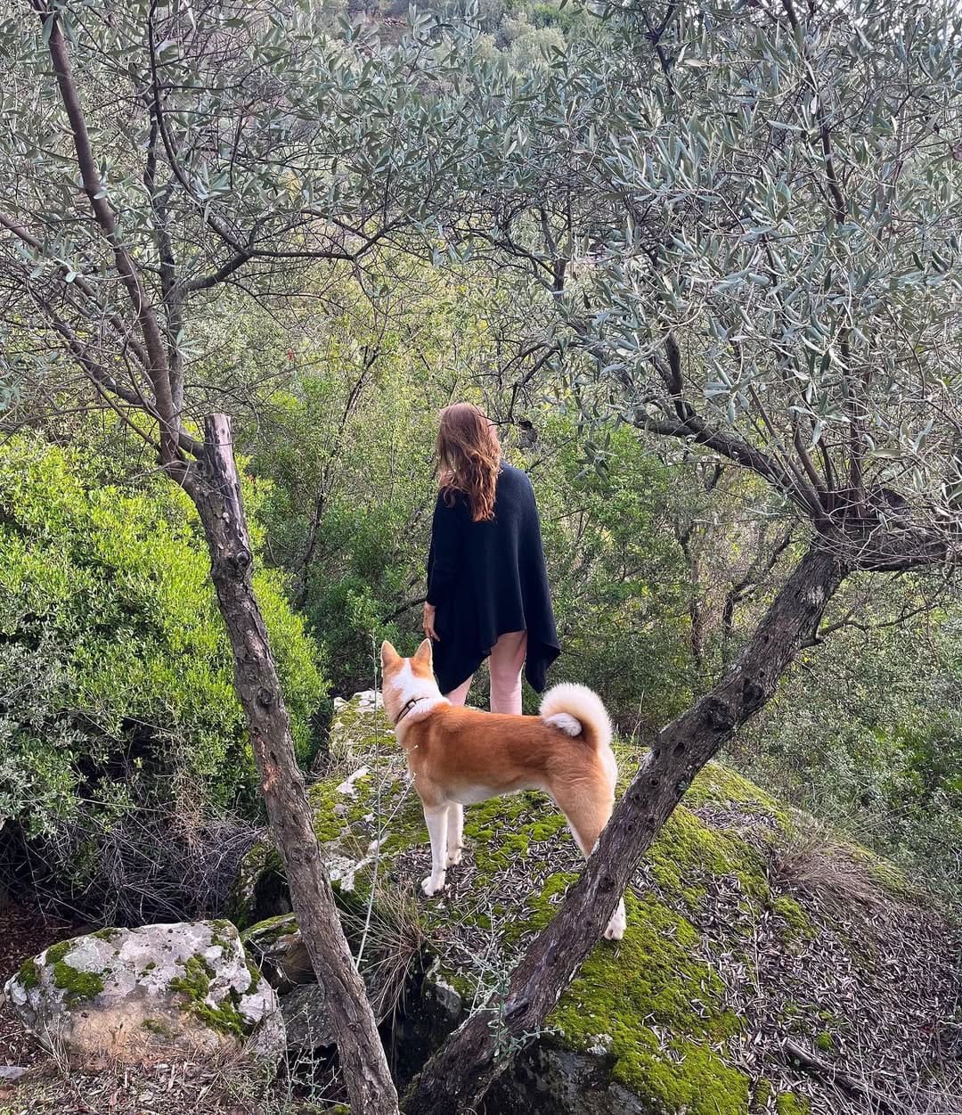Post 5 by Yeşim Gürel on Instagram (image)