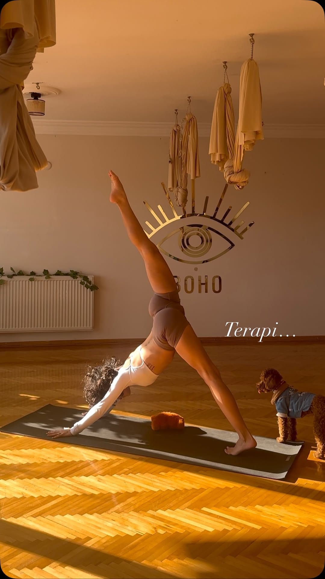 Post 9 by Feyza Öksüz | Yoga 🦋 on Instagram (video)