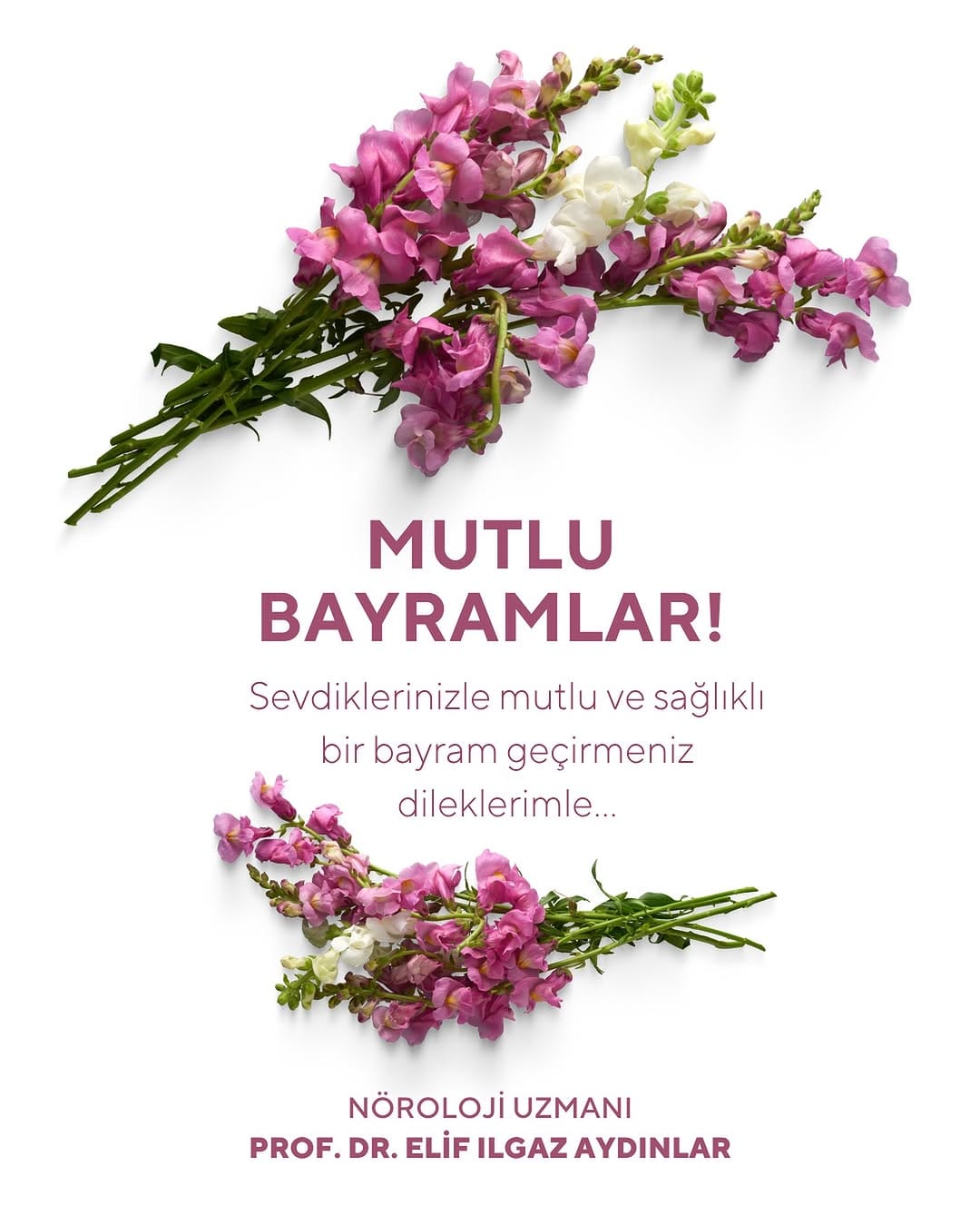 Post 5 by Prof. Dr. Elif Ilgaz Aydınlar on Instagram (image)
