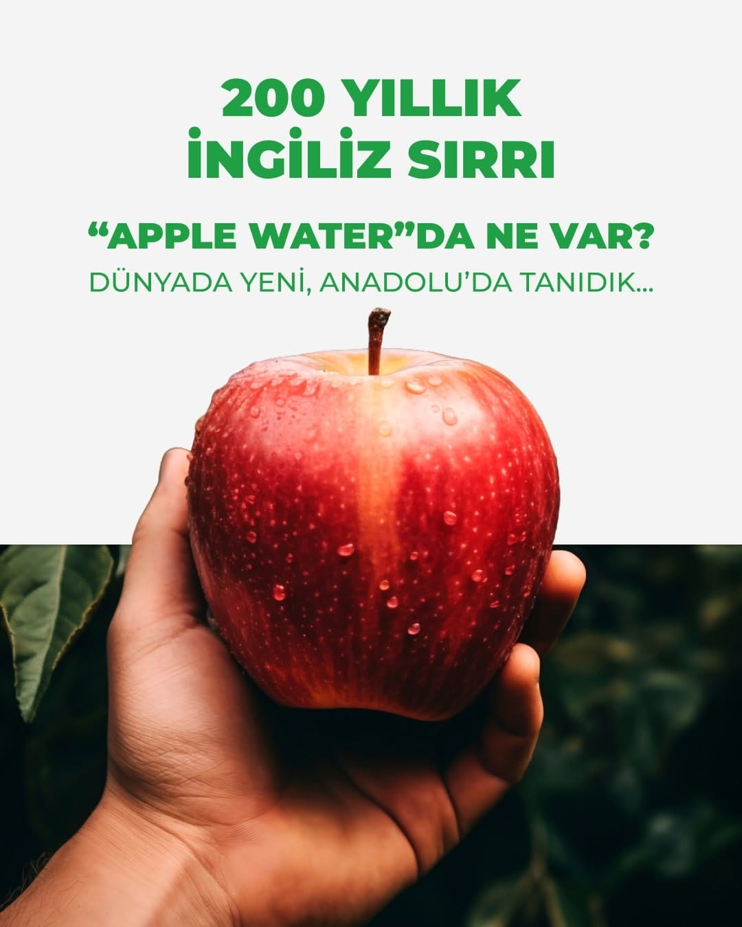 Post 6 by Datça Murat Çiftliği on Instagram (carousel)