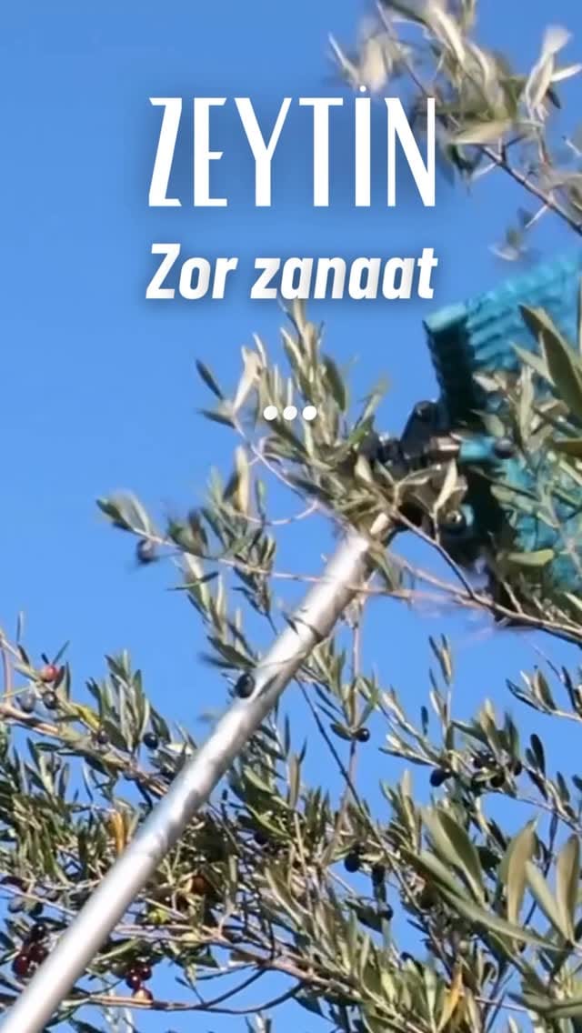 Post 2 by Ege Tadında Yaşa! on Instagram (video)