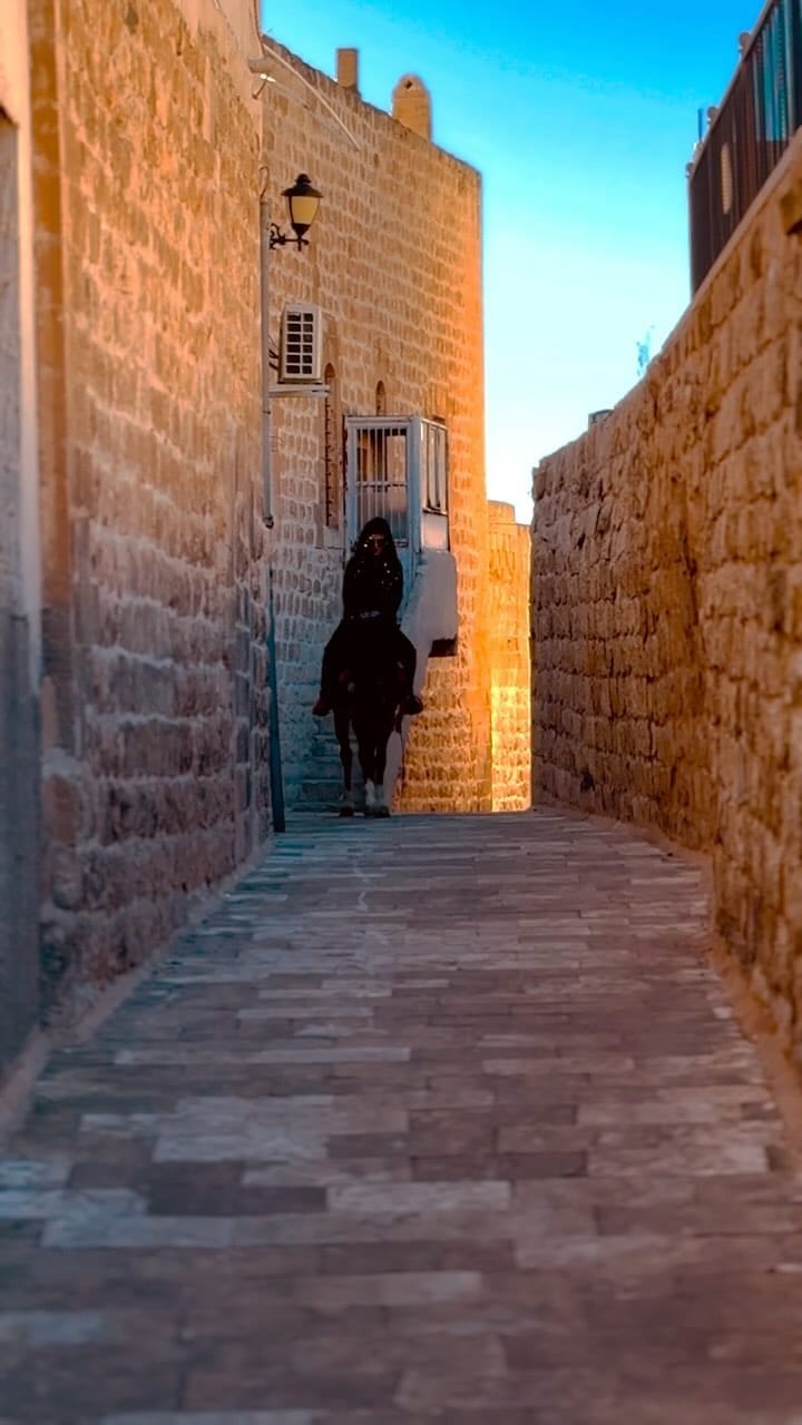 Post 6 by Tesocann on Instagram (video)