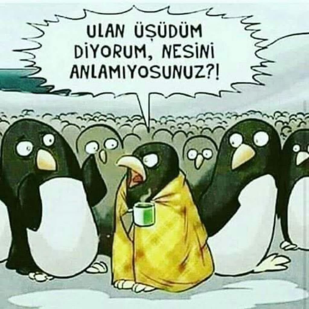 Post 4 by DR. BELDA YURTSEVEN TÜNER on Instagram (image)