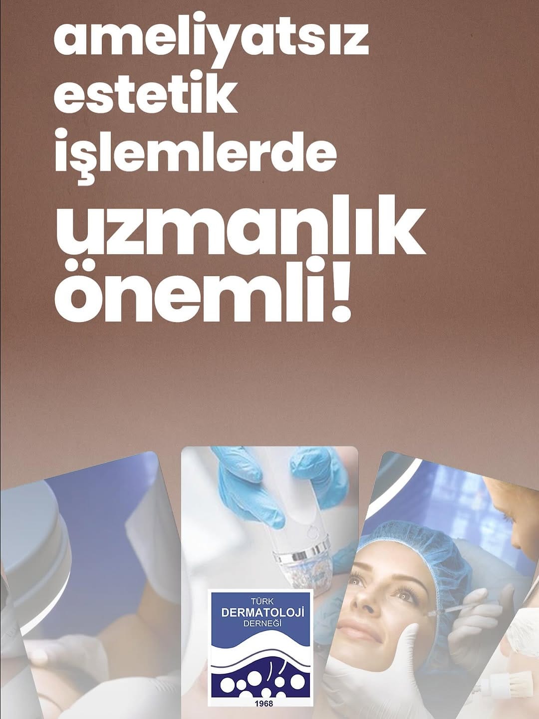 Post 5 by Arzu Kaynak on Instagram (image)
