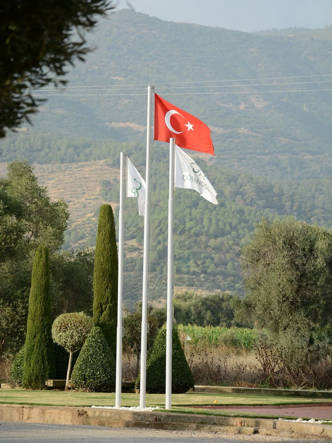 Post 5 by ÇOBANOĞLU SÜS BİTKİLERİ on Instagram (image)