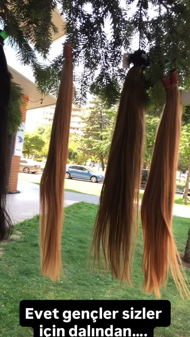Post 1 by Erdinç Pehlivan on Instagram (video)