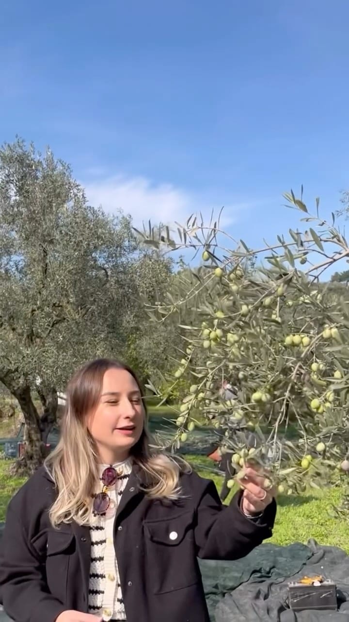 Post 8 by Gemlik Zeytin & Zeytinyağı | Doğal Sabun | Turşu | Mete Zeytin on Instagram (video)
