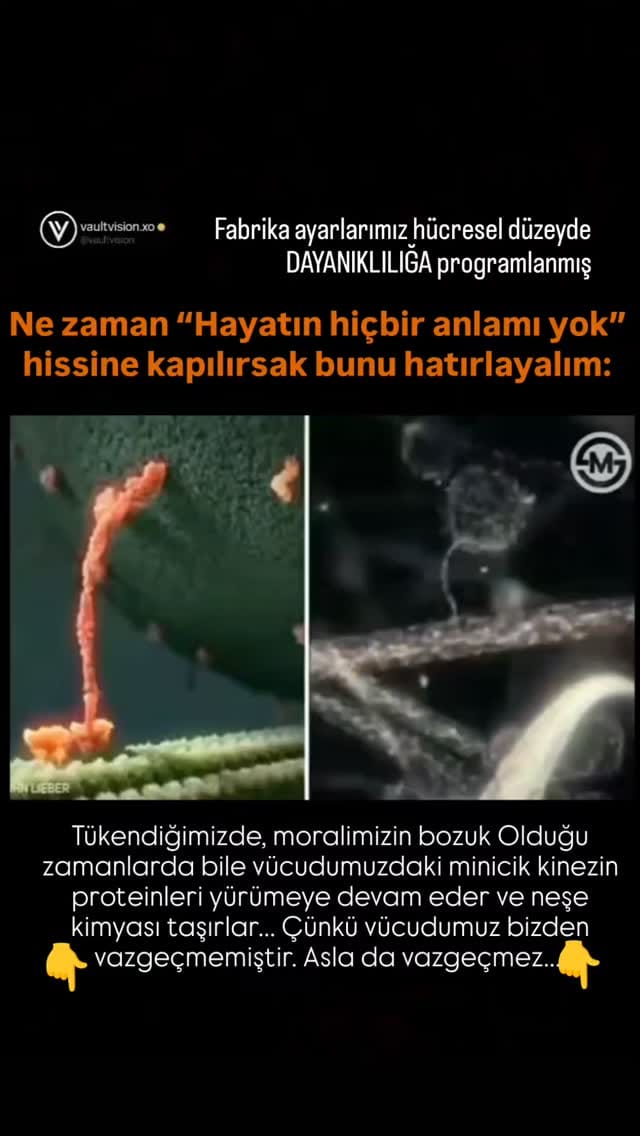 Post 9 by Halil Sağlam on Instagram (video)