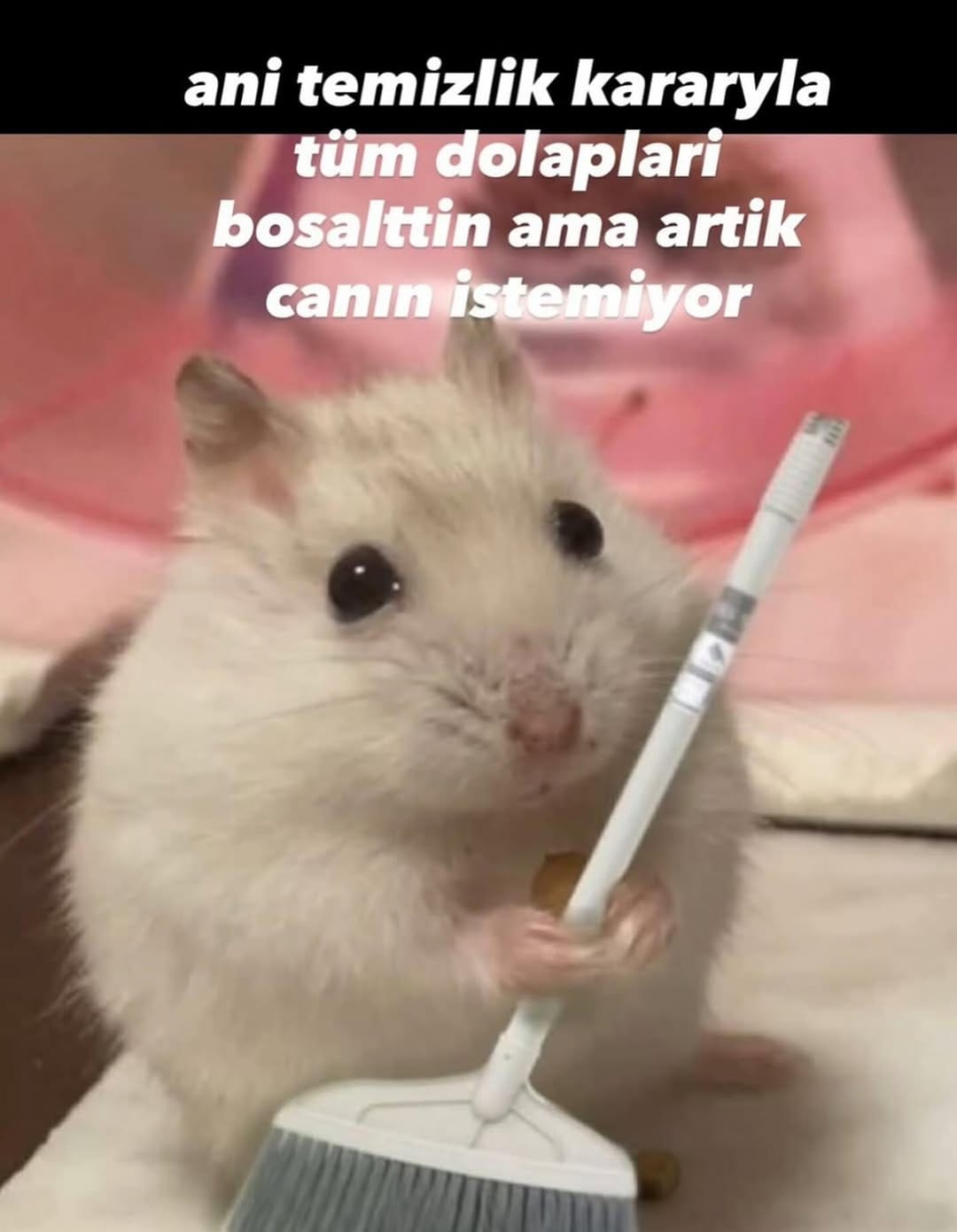 Post 5 by Temizlik Önerileri 🌸 on Instagram (image)