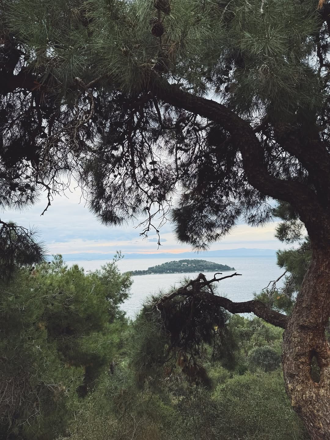 Post 7 by MARCHÉ ISTANBUL on Instagram (image)