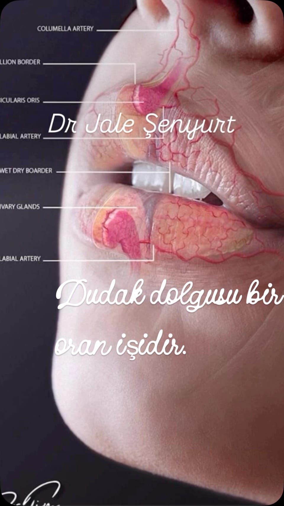 Post 8 by Jale Şenyurt on Instagram (video)