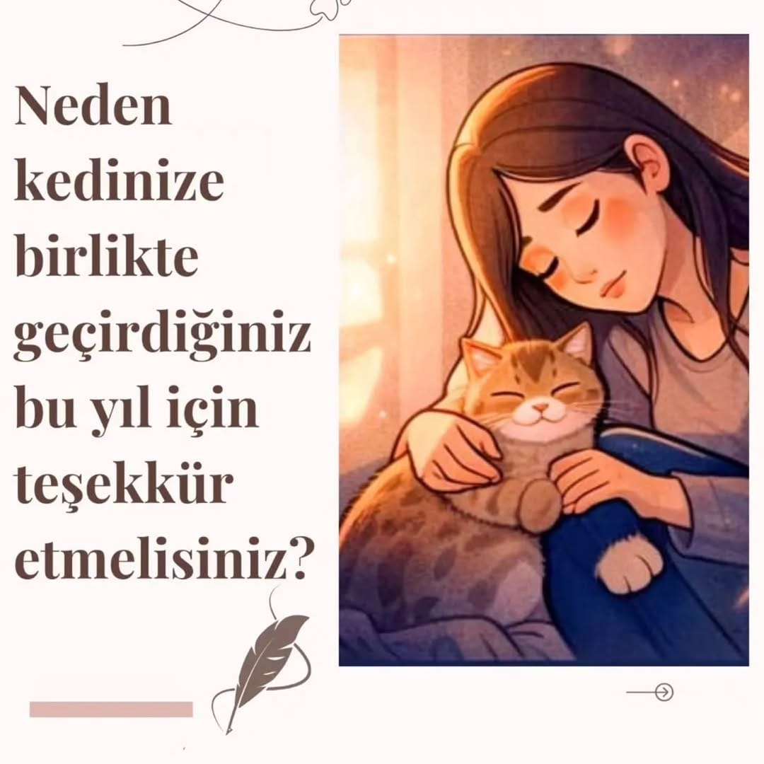 Post 3 by Didem on Instagram (carousel)