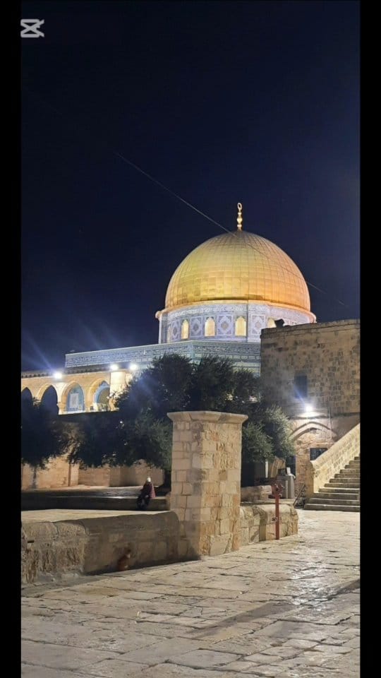 Post 8 by Elif Demirağ on Instagram (video)