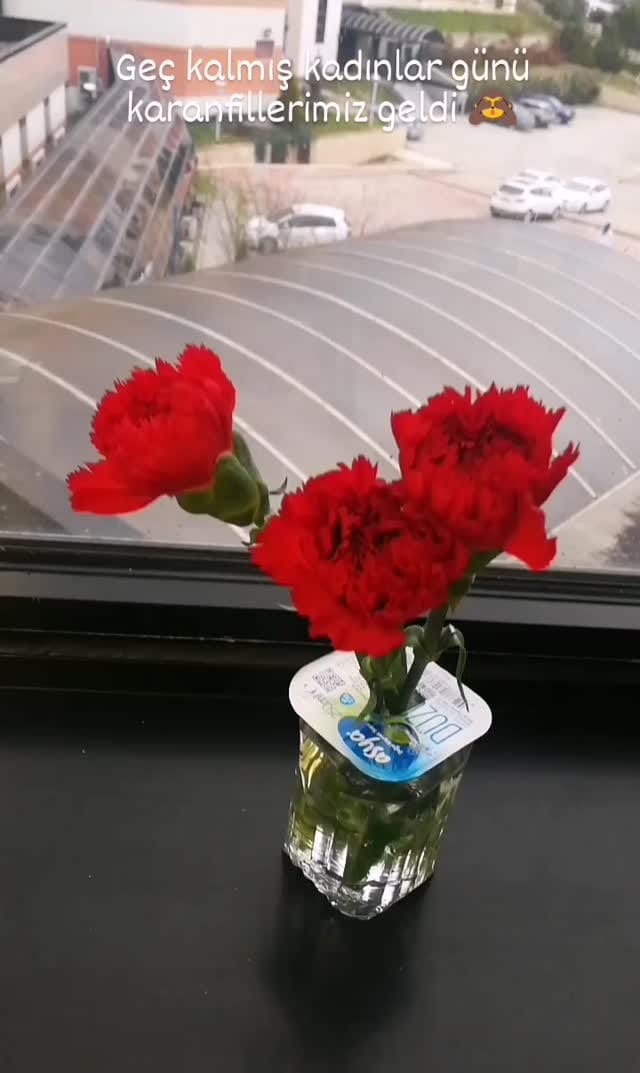 Post 2 by MONA on Instagram (video)