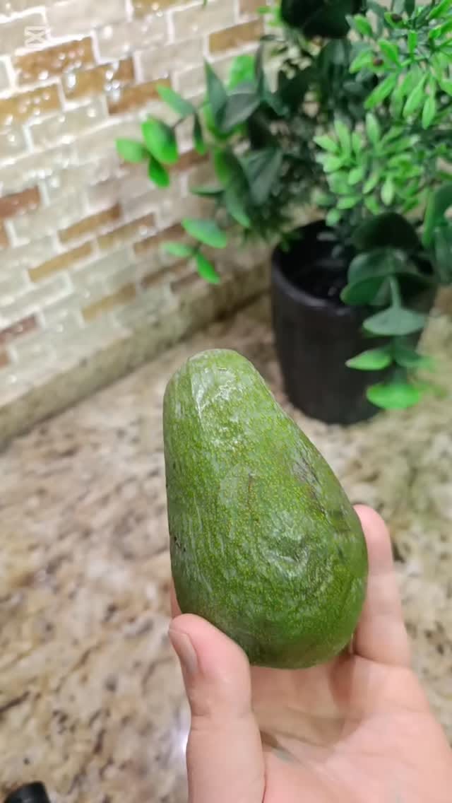 Post 6 by Avokado Bahçeniz Alanya ® on Instagram (video)