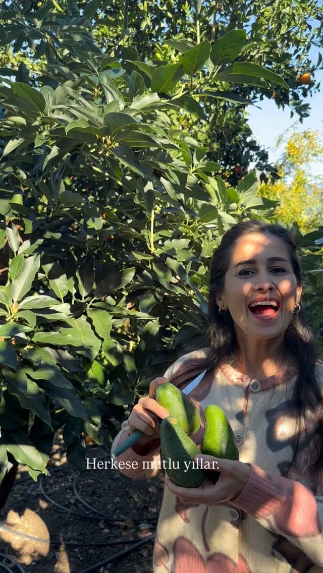 Post 10 by Avokado Bahçeniz Alanya ® on Instagram (video)