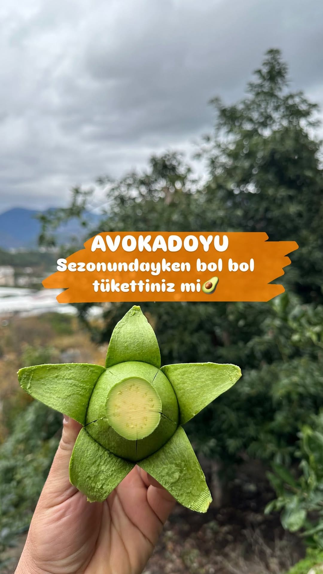 Post 2 by Avokado Bahçeniz Alanya ® on Instagram (video)