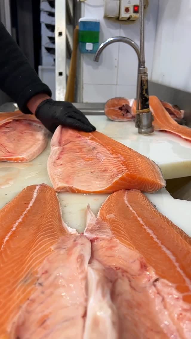 Post 4 by Reşat Balık ®️ 🐟🦑🦐 on Instagram (video)