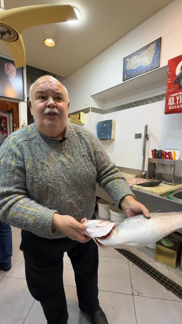 Post 9 by Reşat Balık ®️ 🐟🦑🦐 on Instagram (video)