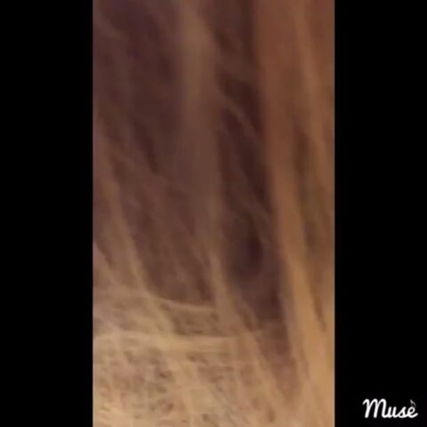 Post 5 by SACKAYNAK UZMANİ on Instagram (video)