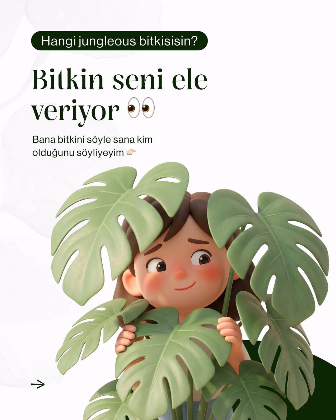 Post 9 by Jungleous | Ev Bitkileri on Instagram (carousel)