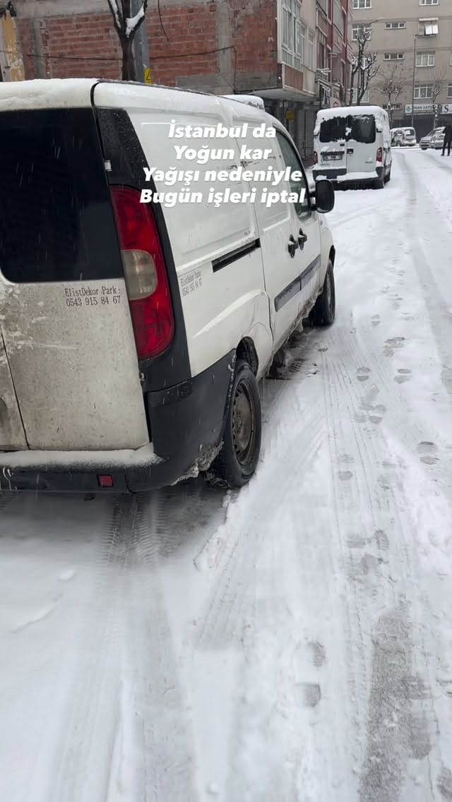 Post 4 by Elist Dekor on Instagram (video)