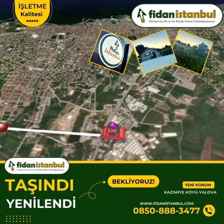 Post 9 by Fidanistanbul Fidan Siparişi on Instagram (video)