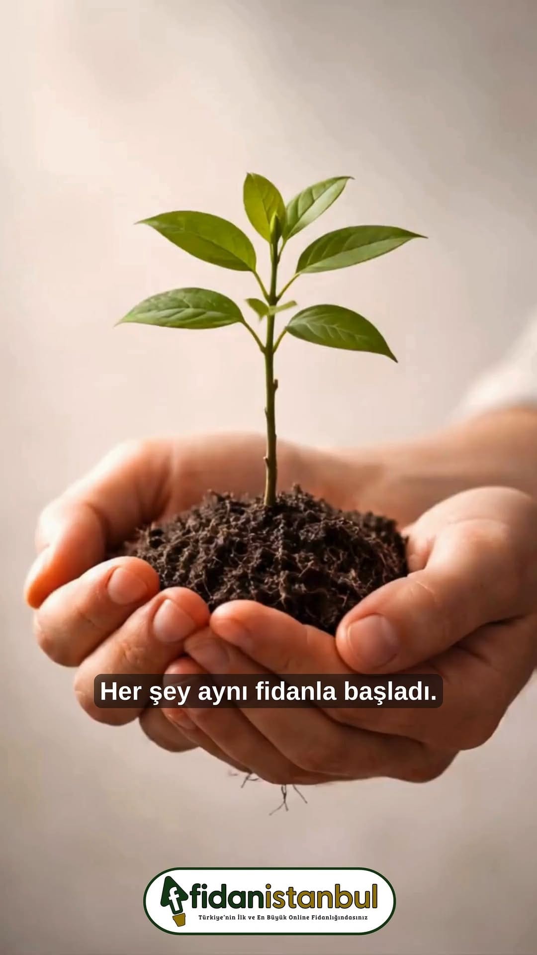 Post 4 by Fidanistanbul Fidan Siparişi on Instagram (video)