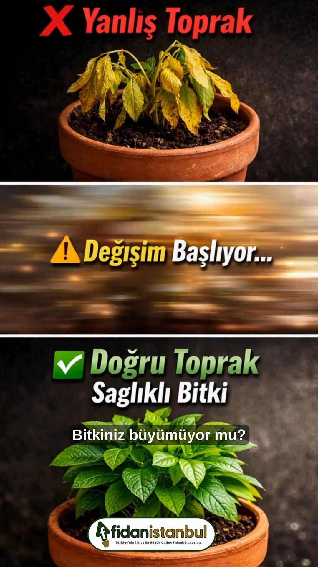 Post 7 by Fidanistanbul Fidan Siparişi on Instagram (video)