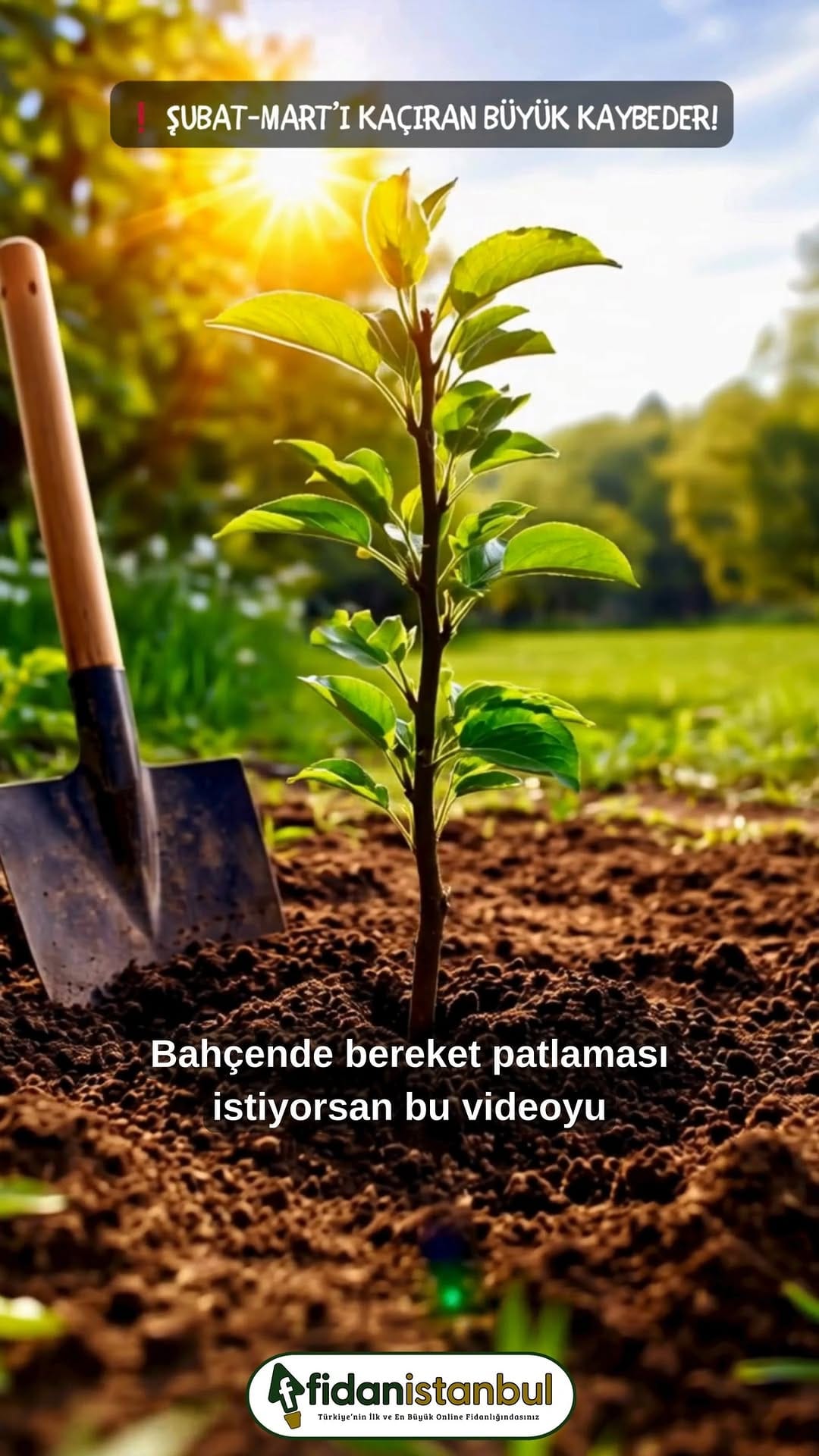 Post 6 by Fidanistanbul Fidan Siparişi on Instagram (video)