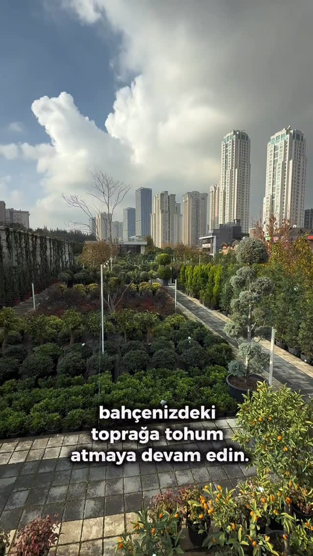 Post 4 by KASABA PEYZAJ on Instagram (video)