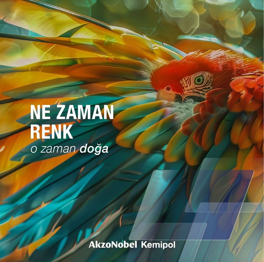 Post 10 by Tekin Boya on Instagram (image)