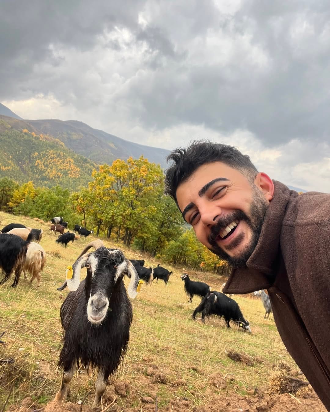 Post 8 by M A H M U T   D O Ğ A N. on Instagram (carousel)