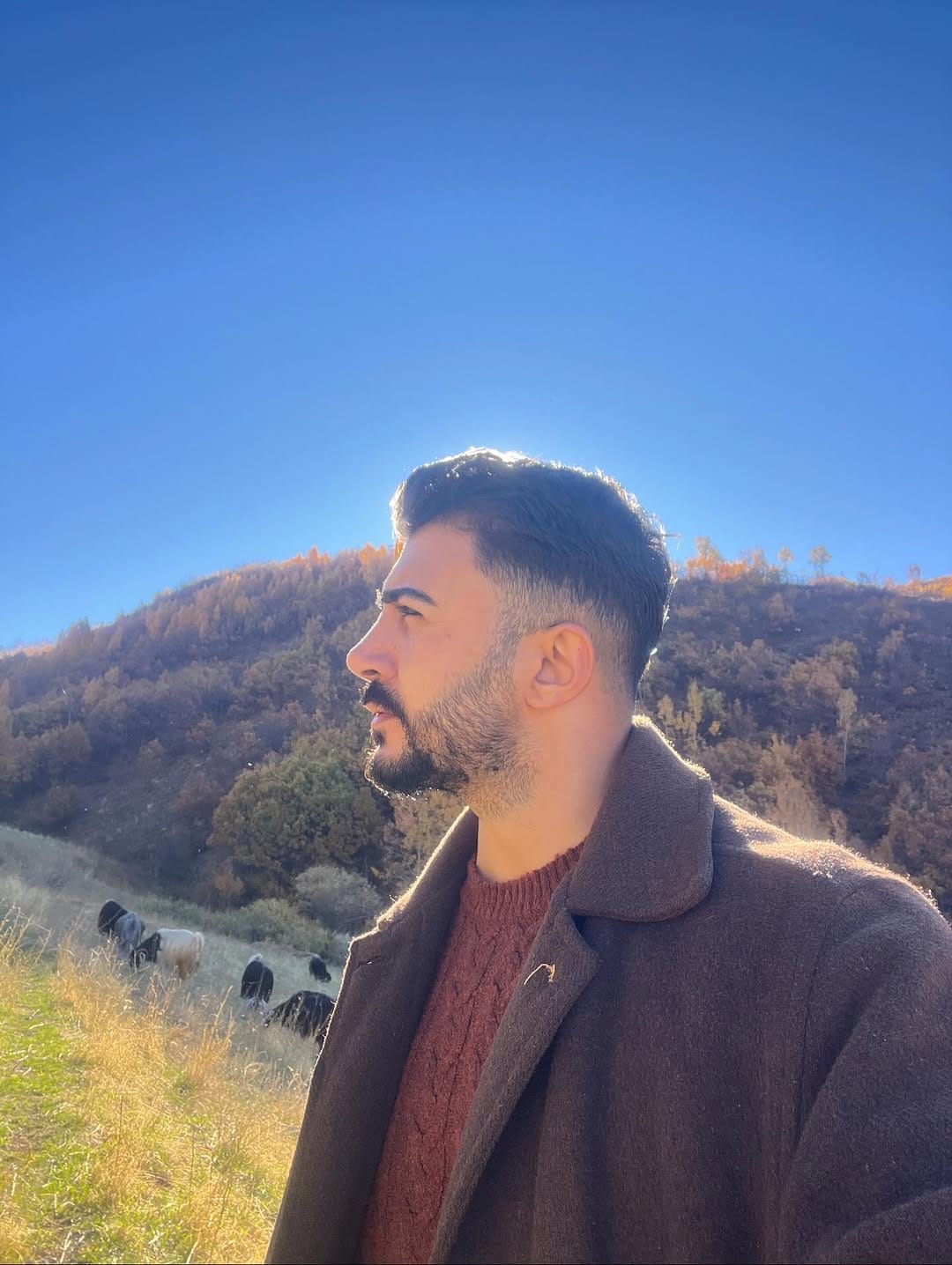Post 5 by M A H M U T   D O Ğ A N. on Instagram (carousel)