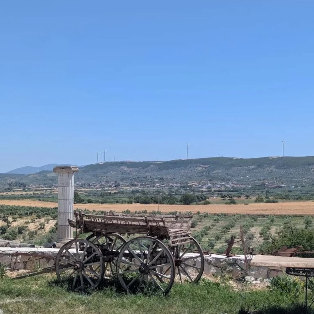 Post 7 by Zeytinseli Zeytin Zeytinyağı on Instagram (carousel)