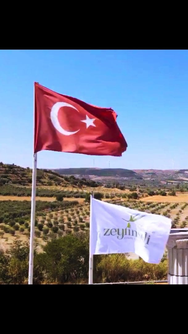 Post 10 by Zeytinseli Zeytin Zeytinyağı on Instagram (video)