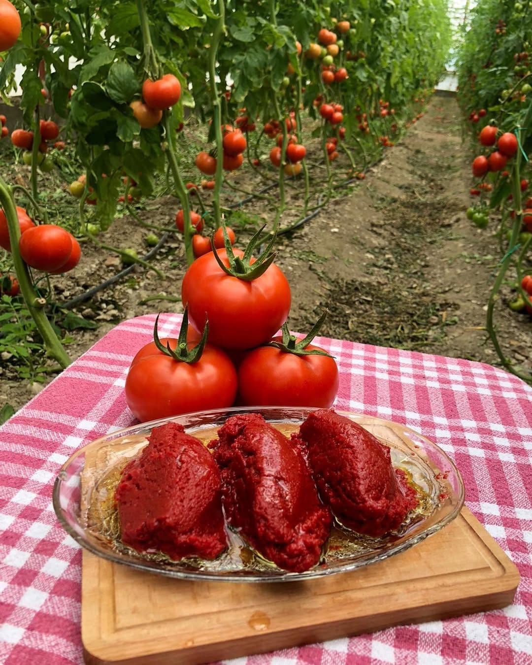 Post 8 by FİNİKE PORTAKAL EVİ on Instagram (image)