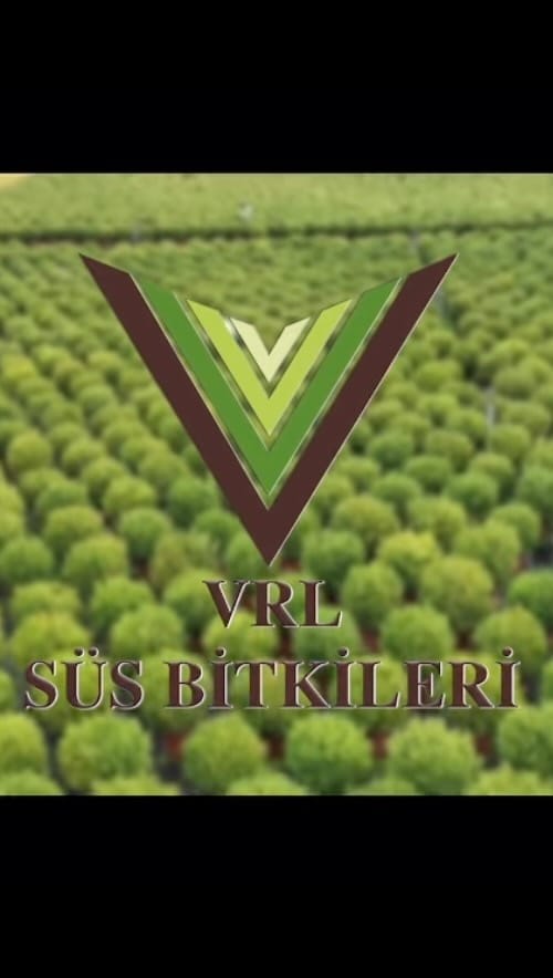 Post 10 by Vrl Süs Bitkileri on Instagram (video)