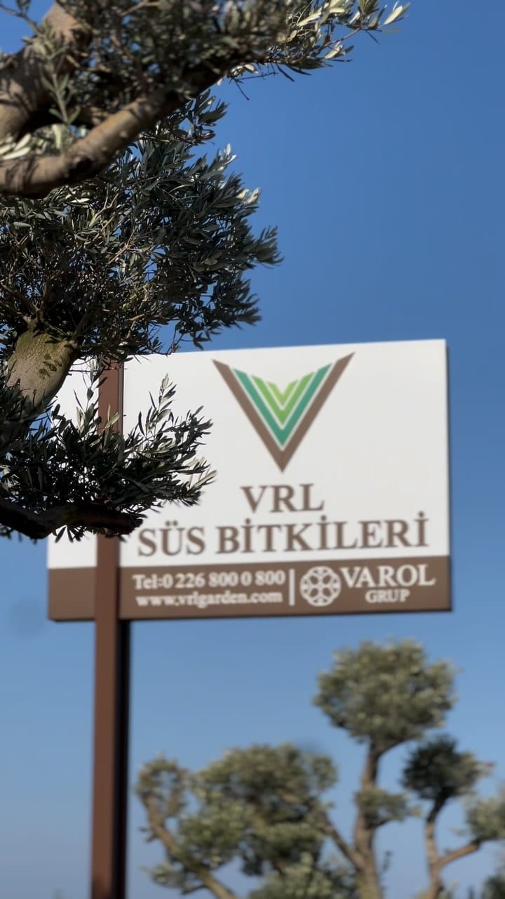 Post 8 by Vrl Süs Bitkileri on Instagram (video)