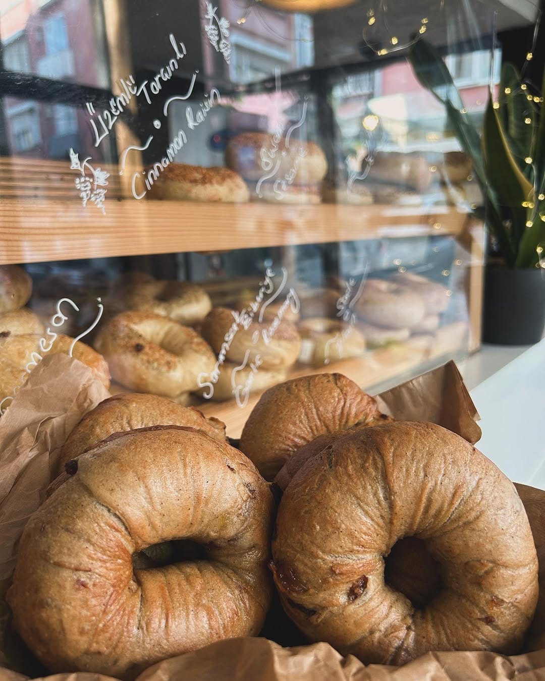 Post 4 by Everything Bagel 🥯 on Instagram (image)