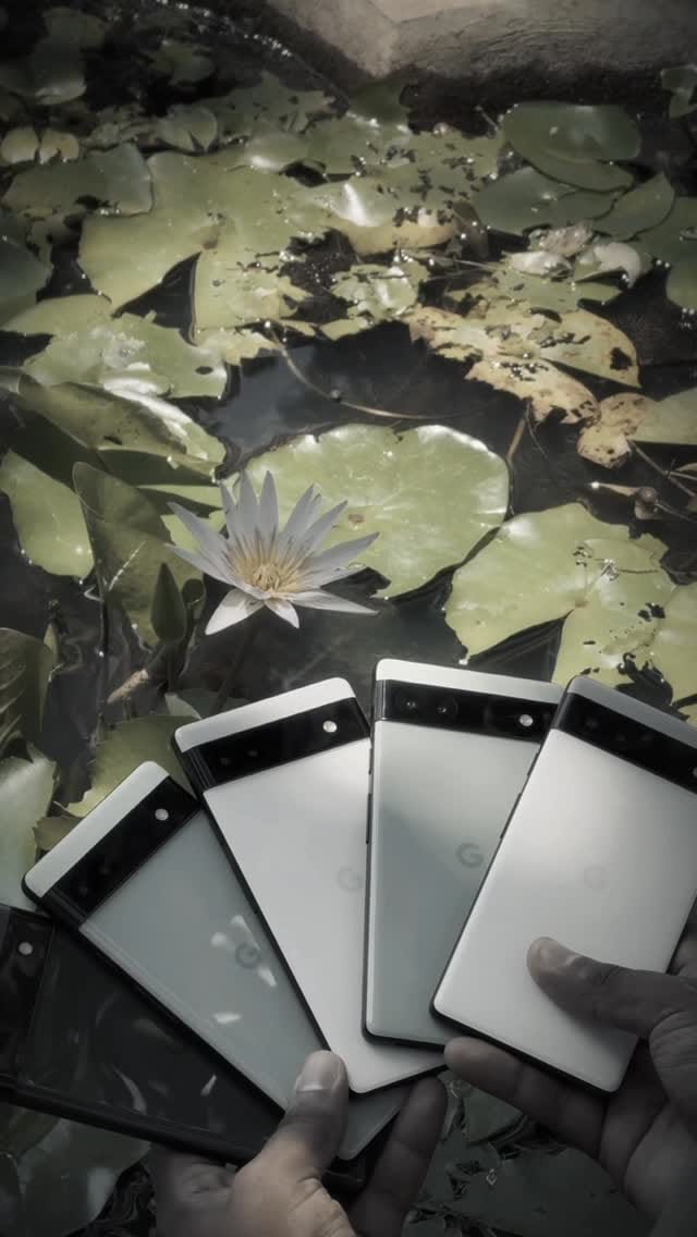 Post 3 by M store on Instagram (video)