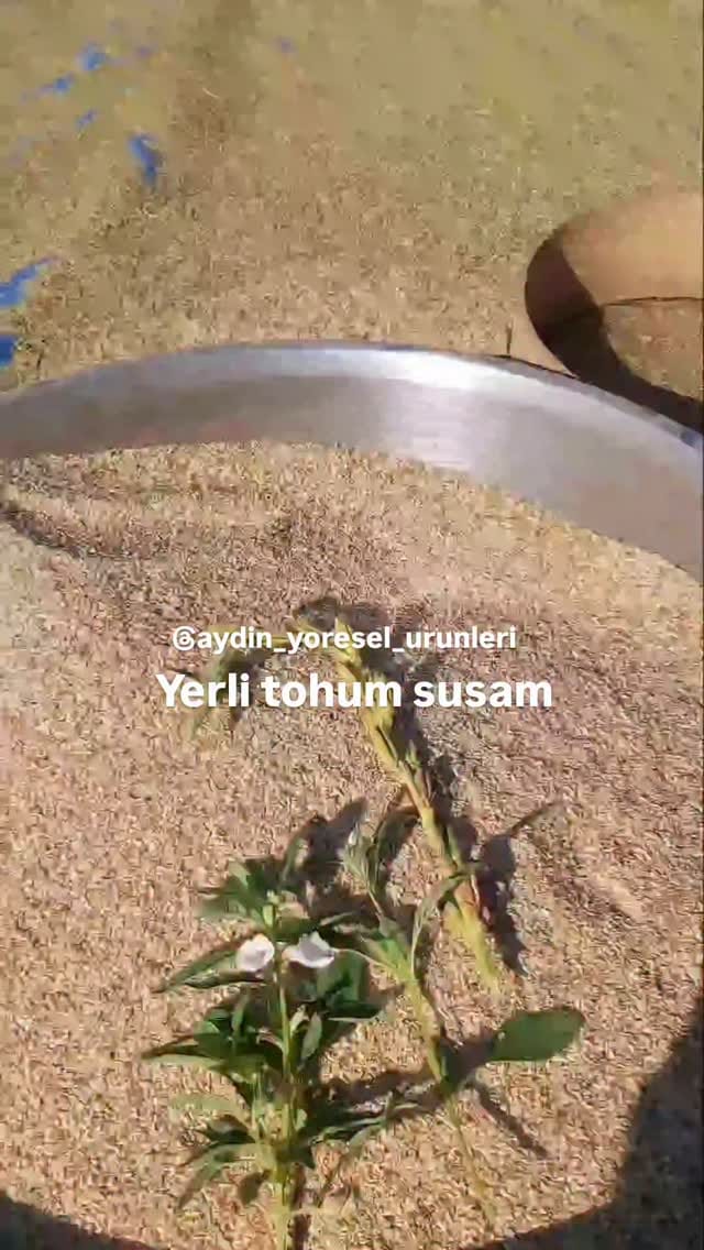 Post 7 by Yeliz ÖZDAĞ on Instagram (video)