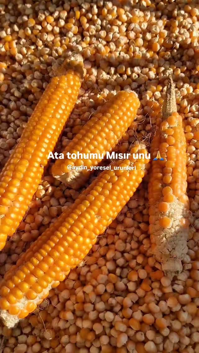 Post 2 by Yeliz ÖZDAĞ on Instagram (video)