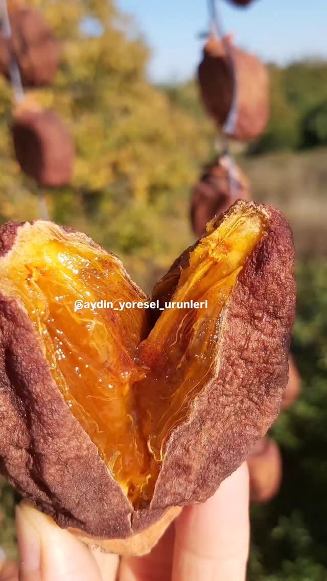 Post 6 by Yeliz ÖZDAĞ on Instagram (video)