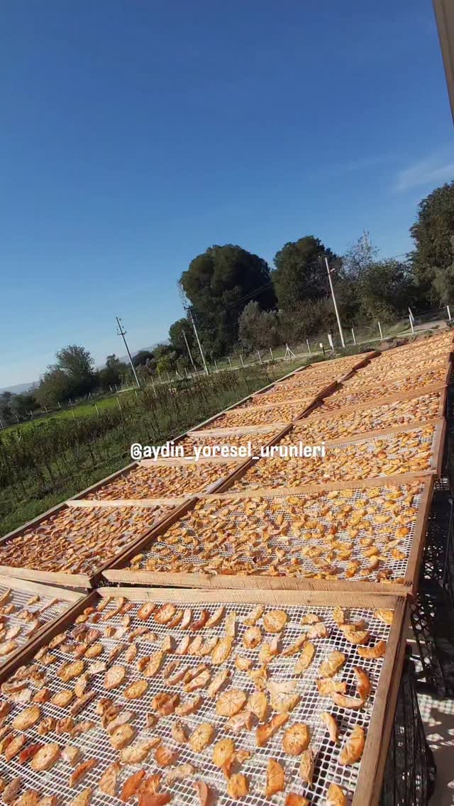 Post 5 by Yeliz ÖZDAĞ on Instagram (video)