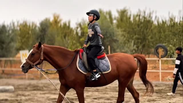 Post 8 by Göbeklitepe Atlı Spor Kulübü on Instagram (video)