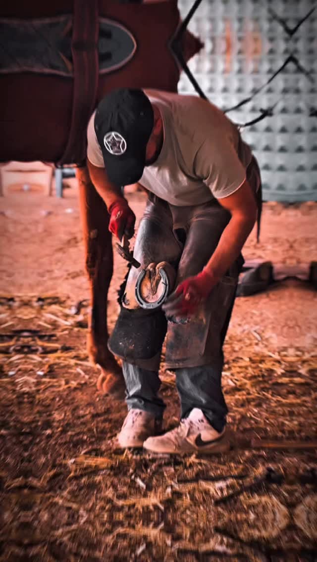 Post 5 by Göbeklitepe Atlı Spor Kulübü on Instagram (video)